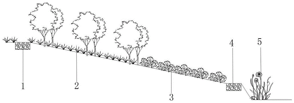 植被缓冲带示意图，植被缓冲带的坡度一般为